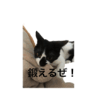 らんまるたち（個別スタンプ：26）