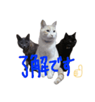 えんどー家の愉快な仲間達（個別スタンプ：10）