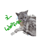えんどー家の愉快な仲間達（個別スタンプ：13）