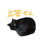 えんどー家の愉快な仲間達（個別スタンプ：14）