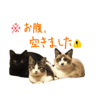えんどー家の愉快な仲間達（個別スタンプ：27）
