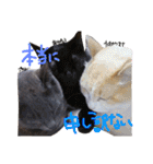 えんどー家の愉快な仲間達（個別スタンプ：30）