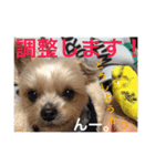 ゆいandミミ。ときどきネギマ。（個別スタンプ：12）