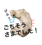 ゆいandミミ。ときどきネギマ。（個別スタンプ：13）