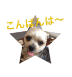 ゆいandミミ。ときどきネギマ。（個別スタンプ：16）