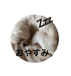 ゆいandミミ。ときどきネギマ。（個別スタンプ：17）