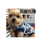 ゆいandミミ。ときどきネギマ。（個別スタンプ：18）