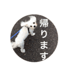 ゆいandミミ。ときどきネギマ。（個別スタンプ：19）