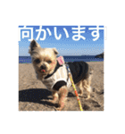 ゆいandミミ。ときどきネギマ。（個別スタンプ：20）
