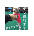 ゆいandミミ。ときどきネギマ。（個別スタンプ：21）