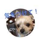 ゆいandミミ。ときどきネギマ。（個別スタンプ：22）