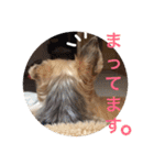 ゆいandミミ。ときどきネギマ。（個別スタンプ：23）