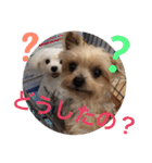 ゆいandミミ。ときどきネギマ。（個別スタンプ：24）