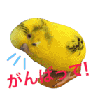 ゆいandミミ。ときどきネギマ。（個別スタンプ：25）