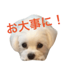ゆいandミミ。ときどきネギマ。（個別スタンプ：26）