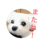ゆいandミミ。ときどきネギマ。（個別スタンプ：27）
