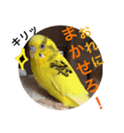 ゆいandミミ。ときどきネギマ。（個別スタンプ：28）