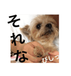 ゆいandミミ。ときどきネギマ。（個別スタンプ：31）