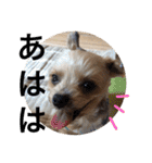 ゆいandミミ。ときどきネギマ。（個別スタンプ：32）