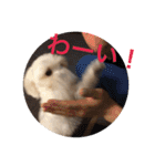 ゆいandミミ。ときどきネギマ。（個別スタンプ：33）