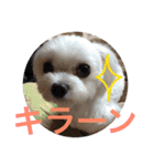 ゆいandミミ。ときどきネギマ。（個別スタンプ：34）