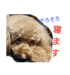 S.C.M.R.P（個別スタンプ：5）