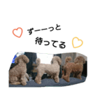 S.C.M.R.P（個別スタンプ：13）