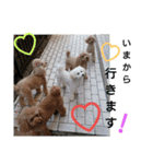 S.C.M.R.P（個別スタンプ：16）