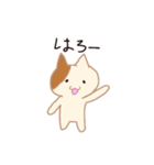 A cat with small eyes（個別スタンプ：1）