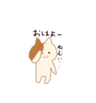 A cat with small eyes（個別スタンプ：2）