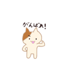 A cat with small eyes（個別スタンプ：6）