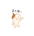 A cat with small eyes（個別スタンプ：15）