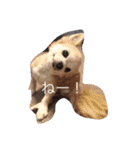 チワワのルイ（個別スタンプ：2）