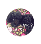 なゆひろゆじゅ（個別スタンプ：1）