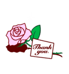 ありがとう・お礼・感謝 / ピンクの薔薇（個別スタンプ：16）