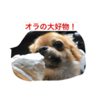 ジローの気持ち（個別スタンプ：4）