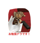 ジローの気持ち（個別スタンプ：6）