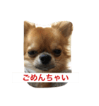 ジローの気持ち（個別スタンプ：12）