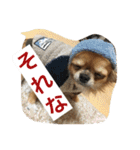 ジローの気持ち（個別スタンプ：14）