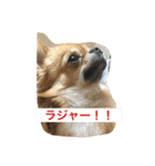 ジローの気持ち（個別スタンプ：16）