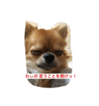 ジローの気持ち（個別スタンプ：17）