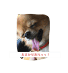 ジローの気持ち（個別スタンプ：18）