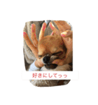 ジローの気持ち（個別スタンプ：20）