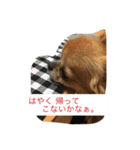 ジローの気持ち（個別スタンプ：21）