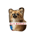 ジローの気持ち（個別スタンプ：23）