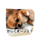 ジローの気持ち（個別スタンプ：25）