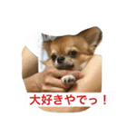 ジローの気持ち（個別スタンプ：26）