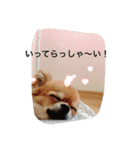 ジローの気持ち（個別スタンプ：27）