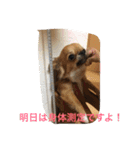 ジローの気持ち（個別スタンプ：29）