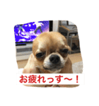 ジローの気持ち（個別スタンプ：30）
